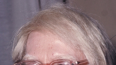 Portrét Andyho Warhola, Voľné dielo