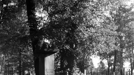 Stary Cmentarz w Rzeszowie, domena publiczna, Podkarpacka Bibliotek Cyfrowa