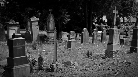 Cmentarz - bernswaelz z Pixabay