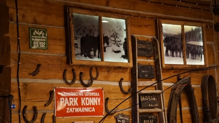 Kino Końkret, listopad 2021, fot. Ilona Dusza Rzeszowska, Podkarpacka Komisja Filmowa